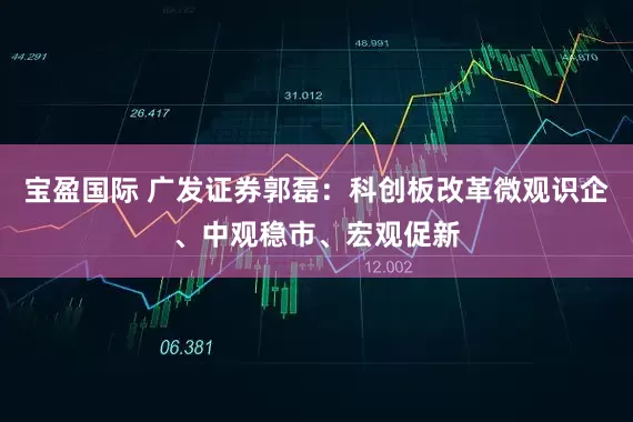 宝盈国际 广发证券郭磊：科创板改革微观识企、中观稳市、宏观促新
