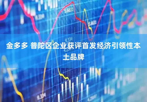 金多多 普陀区企业获评首发经济引领性本土品牌