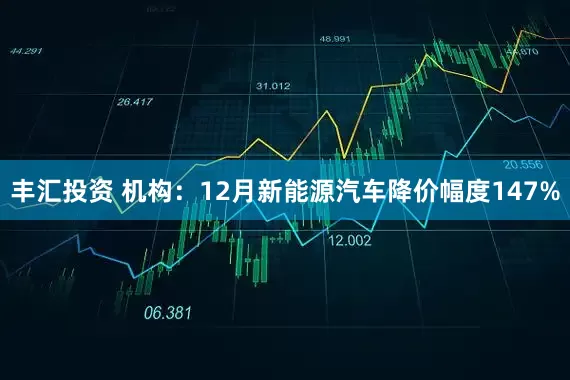 丰汇投资 机构：12月新能源汽车降价幅度147%